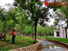 【建筑垃圾】建筑垃圾變身再生骨料，只差一臺移動破碎機(jī)！